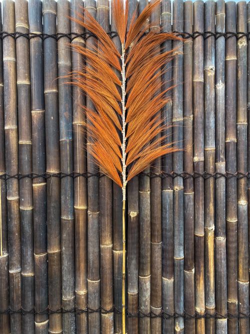 Pampas pluimen twin 220x60 cm orange